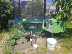 Een groot groen Cube kippenhok in een tuin met een ren en toebehoren, in een tuin met een trampoline
