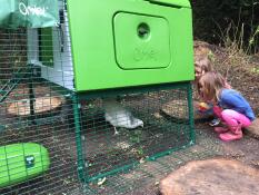 Nieuw opgezet Eglu Cube mk2
