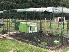 Onze 8 kippen hebben genoeg ruimte in de Eglu Cube . makkelijk schoon te maken. veilig en beschermd
