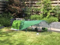Een groen kippenhok en ren met dekking, in een tuin