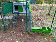 Omlet groen Eglu Cube groot kippenhok en ren verbonden met Omlet inloop kippenren