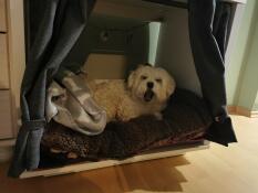 Hond ligt in Omlet Fido Nook hondenkrat meubilair