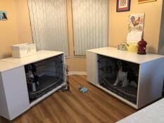 Twee honden in hun witte houten kratten