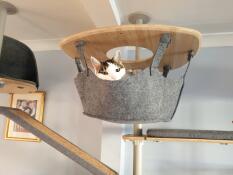 Een kat geniet van de hangmat van zijn binnenkattenboom