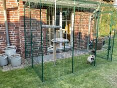 Klimboom kattenverblijf