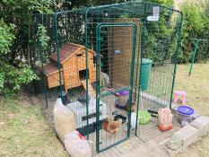 Houten kippenhok in Omlet inloop kippenren in tuin