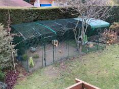 Een grote uitloopren in een tuin voor kippen