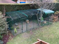 Een grote uitloopren in een tuin voor kippen