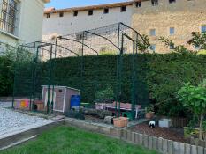 Omlet inloop cavia ren