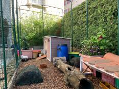 Binnen Omlet inloop cavia ren