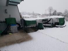 Omlet groen Eglu Cube groot kippenhok en ren in de Snow