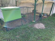 Green Omlet Eglu Cube groot kippenhok en ren