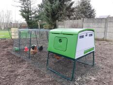 Een groot groen Cube kippenhok met een ren en kippen erin