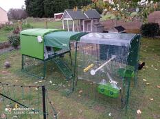 Green Omlet Eglu Cube groot kippenhok en ren met weer- en winddichte afdekking