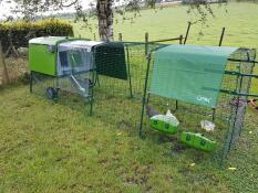 Cube groot kippenhok met ren in een tuin