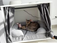 Super leuk katten slaapkamertje