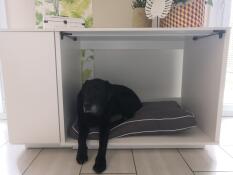 Hond ligt in Omlet Fido Nook