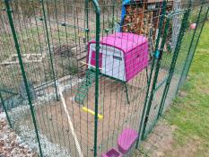 Paars Omlet Eglu Cube groot kippenhok binnen van Omlet inloop kippenren