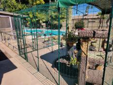 Catio bevestigd aan onze patio door een zelfgemaakte loopbrug