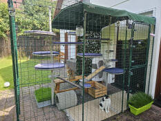 Omlet onze behuizing van voor 3
