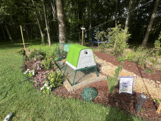 Kuikentjes in de tuin 