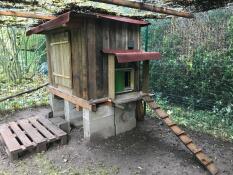 Omlet groene automatische kippenhok deur bevestigd aan houten kippenhok