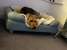 Houdt van haar bed 