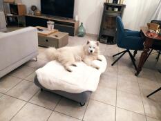 Een grote witte hond rustend op de schapenvacht topper van zijn grijze bed