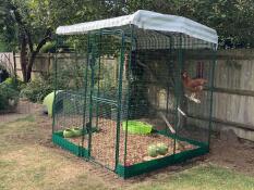 Doris en aggie in cluckingham palace