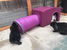De baby's houden van hun nieuwe speeltje.