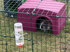 Het roze huis