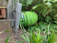 Moor verstopt in de tuin.