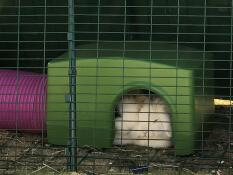 Konijnen slapen binnen in groene Zippi schuilplaats