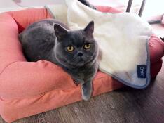 Coco is een grote fan!