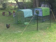 Een groot groen kippenhok met een ren en een overkapping achter een kippenhek.