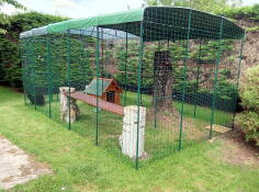 Omlet buiten catio