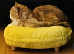Sweet chilli geniet van zijn squishy bed! ????