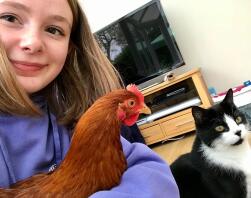 De kat ontmoeten