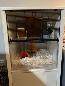 Ik hou van de hamsterkooi die er prachtig uitziet in mijn woonkamer en ook een gelukkige hamster