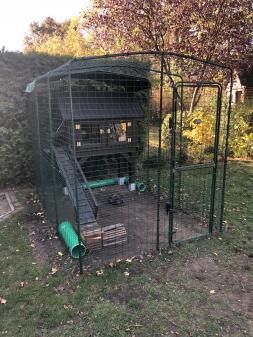 Een grote inloopren met een houten kippenhok erin