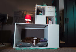 Hond slaapt in Omlet Fido Nook