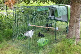 Omlet groen Eglu Cube groot kippenhok en ren