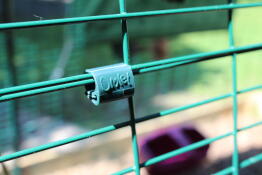 Omlet loop clips