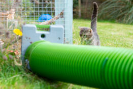 Omlet Zippi tunnel houdt de lokale roofdieren op afstand.