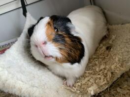 Mijn lieffie
