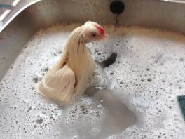 Ik hou van badtijd