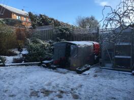 kippen in de winter