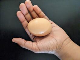 Volwassen rhode island red's egg.