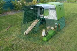 Omlet groen Eglu Cube groot kippenhok en ren