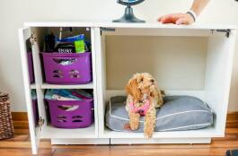Een plas die op een Fido ligt Classic binnen een Fido Studio met kleerkast